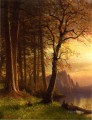 Sunset in California Yosemite Albert Bierstadt